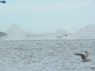 Roscioli Hotels At Full Throttle